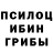 Псилоцибиновые грибы Cubensis Xander Aibas