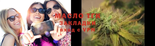 дмт Бородино
