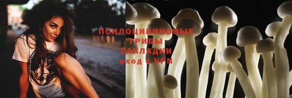 хмурый Верхний Тагил