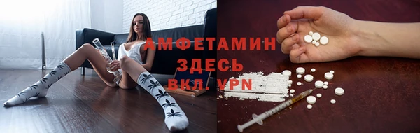 дмт Бородино