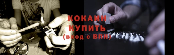 дмт Бородино