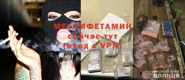дмт Бородино