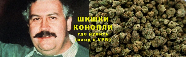 дмт Бородино