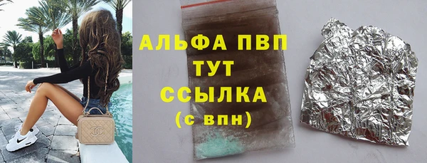 дмт Бородино