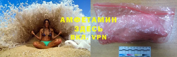 дмт Бородино