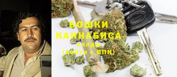 дмт Бородино