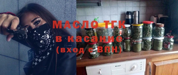 дмт Бородино