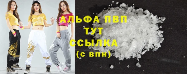 дмт Бородино