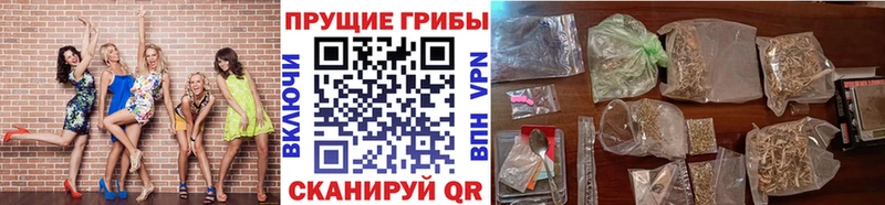Псилоцибиновые грибы MAGIC MUSHROOMS  Мегион 