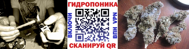 магазин продажи   Мегион  МАРИХУАНА ГИДРОПОН 